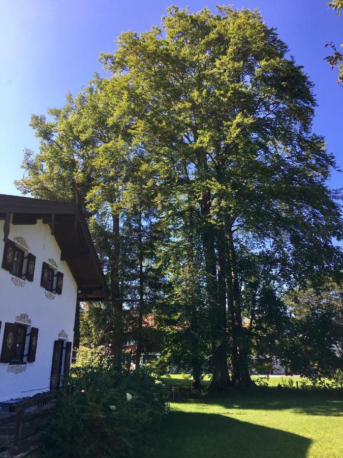 Traumhaftes Ferienhaus Direkt Am Tegernsee Rottach-Egern Bagian luar foto
